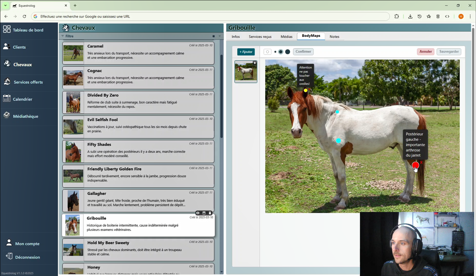 Equestrolog